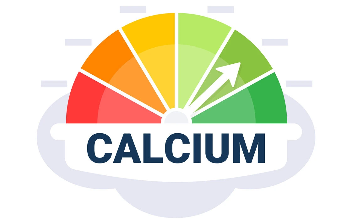 Understanding A Coronary Calcium Score Test and What It Shows 